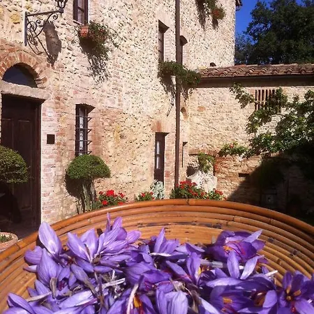 Fortezza De' Cortesi Farm stay San Gimignano