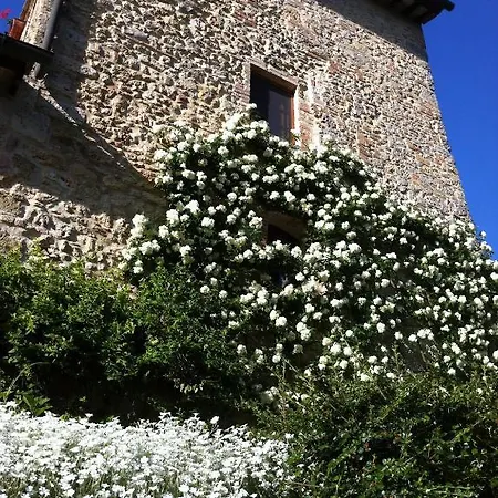 Fortezza De' Cortesi * San Gimignano