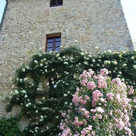 Fortezza De' Cortesi *